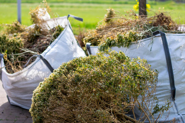 Best Dumpster Rental Services  in Iowa Falls, IA